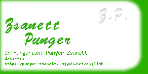 zsanett punger business card